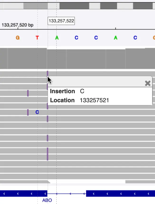 Zoomed-in view of rs8176719 within IGV, showing purple ticks