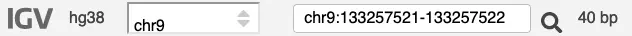 IGV search bar, searching for chr9:133257521-133257522