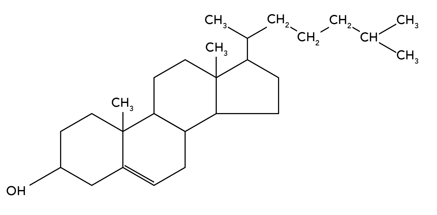 The chemical structure of cholesterol resembles steroid hormones, bile acid and vitamin D because it is used for their biosynthesis.