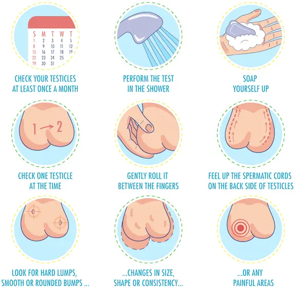 Doctors recommend that young men regularly examine their testicles for lumps.
