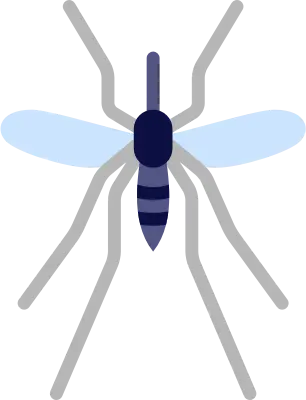 Mosquitos kill more humans than any other animal due to the diseases that they transmit.